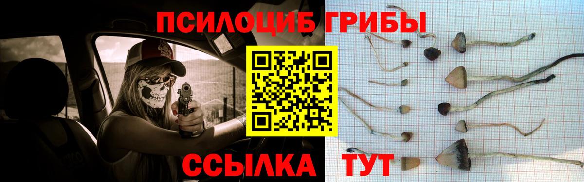 Псилоцибиновые грибы ЛСД  Вход с VPN  Выкса 
